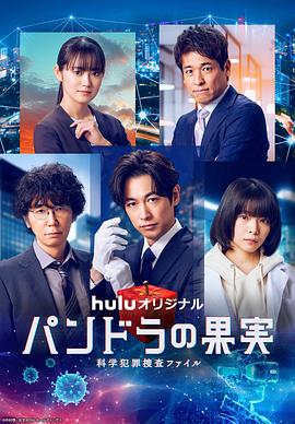 洛阳优化网站怎么样